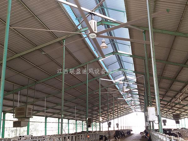 大型工業(yè)吊扇,工業(yè)大風扇,大型工業(yè)風扇