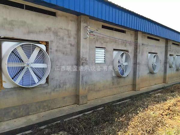 負壓風機,車間降溫設備,廠房通風降溫