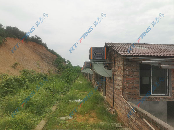 江西冷風(fēng)機(jī),冷風(fēng)機(jī),工廠降溫